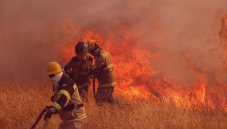 &nbsp;Las autoridades activaron el Sistema de Alerta de Emergencia ante la magnitud del fuego.
