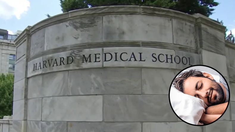 Un estudio de la Universidad de Harvard reveló cuántas horas son ideales para descansar el fin de semana.