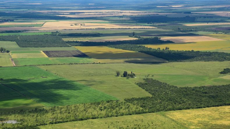 Ley de Tierras: de qu&eacute; trata y qu&eacute; cambios traer&aacute; su derogaci&oacute;n.