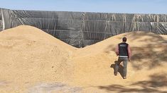 Los miles de granos que halló la AFIP. Los miles de granos que halló la AFIP.