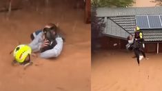 El perro pudo ser rescatado. El perro pudo ser rescatado.