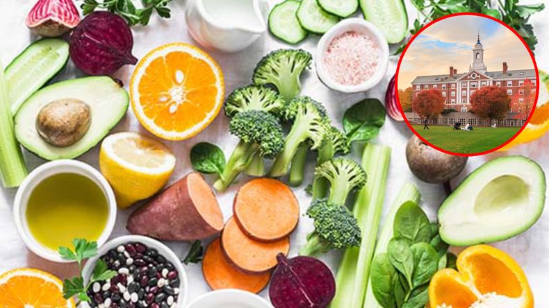 La dieta clave según Harvard que previene significativamente las probabilidades de enfermarse gravemente y te extiende la vida.