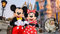 Quién es la novia serial, la mujer que se casó 5 veces en Disney y que va por más. Quién es la novia serial, la mujer que se casó 5 veces en Disney y que va por más.