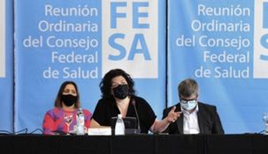 Vizzotti realizó un repaso de su gestión en el área de salud mental.
