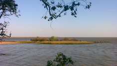 Los rastros británicos, visibles en sus edificaciones y en la disposición urbana, explican gran parte de su singularidad. Los rastros británicos, visibles en sus edificaciones y en la disposición urbana, explican gran parte de su singularidad.