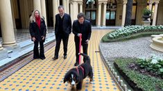 Javier Milei se tomó un respiro de la interna oficialista y sacó a pasear a Thor