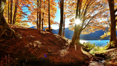 Turismo en Argentina: la aldea que está en el medio de cascadas y lagos. Turismo en Argentina: la aldea que está en el medio de cascadas y lagos.