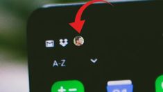 ¿Te enteraste de esta función en WhatsApp? ¿Te enteraste de esta función en WhatsApp?