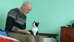 El gato permanece cerca de su dueño, un anciano con Alzheimer, en un video que emocionó a miles de usuarios en X.