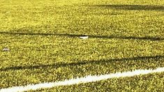 Crédito de foto: @antoop Crédito de foto: @antoop