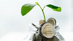 Los plazos fijos se destacan como una alternativa segura y accesible para maximizar el rendimiento financiero. Los plazos fijos se destacan como una alternativa segura y accesible para maximizar el rendimiento financiero.