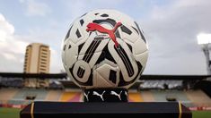 Una de las competiciones continentales más importantes llegará a la televisión argentina. Una de las competiciones continentales más importantes llegará a la televisión argentina.