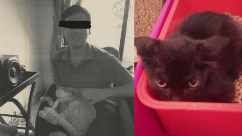 Se desconoce el paradero del cocinero de 27 años tras conocerse la denuncia formal.