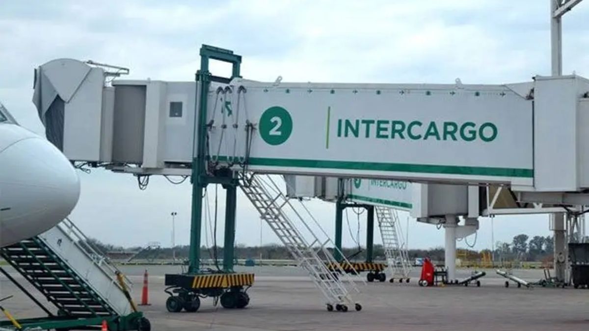 El Gobierno iniciará el proceso de la privatización de la empresa Intercargo