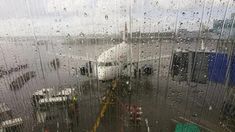 Alerta roja en el aeropuerto de Ezeiza: qué pasará con los vuelos programados Alerta roja en el aeropuerto de Ezeiza: qué pasará con los vuelos programados