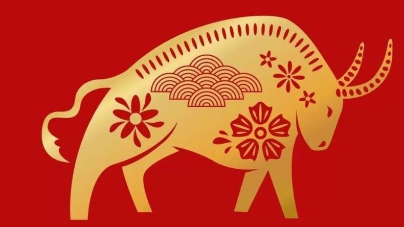 La astrología china destacó que las personas nacidas bajo este signo tienen la posibilidad de alcanzar estabilidad y éxito financiero en el año en curso