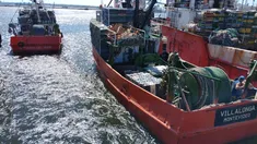 Indec: la producción pesquera cayó en agosto un 19,7% interanual Indec: la producción pesquera cayó en agosto un 19,7% interanual