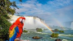 El bello parque de las aves es uno de los destinos que no te podés perder en estas vacaciones 2025.