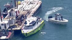 El accidente se produjo en Miami. El accidente se produjo en Miami.