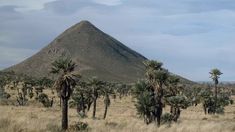 En Córdoba, hay una ciudad que tiene tres volcanes inactivos con una estructura geológica única en el mundo. En Córdoba, hay una ciudad que tiene tres volcanes inactivos con una estructura geológica única en el mundo.