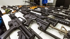 Ciertas armas semiautomáticas estarán disponibles para uso deportivo.