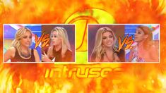 La tarde de furia de las mujeres de Intrusos: Tamara Pettinato vs Rocío Gancedo y Marina Calabró vs Virginia Gallardo La tarde de furia de las mujeres de Intrusos: Tamara Pettinato vs Rocío Gancedo y Marina Calabró vs Virginia Gallardo