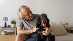 La mejor mascota es la que encaja con la vida de cada persona La mejor mascota es la que encaja con la vida de cada persona
