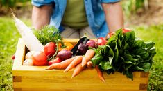 Dos grandes expertos en jardinería nos enseñan simples consejos para implementar una huerta en casa. Dos grandes expertos en jardinería nos enseñan simples consejos para implementar una huerta en casa.