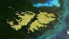 El reconocimiento del Gobierno. El reconocimiento del Gobierno.