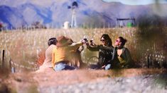 la ruta del vino cordobes: la escapada invernal perfecta la ruta del vino cordobes: la escapada invernal perfecta