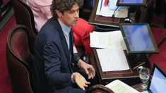 Martín Lousteau, senador radical.