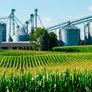 El Gobierno bajó las retenciones para el agro y los biocombustibles El Gobierno bajó las retenciones para el agro y los biocombustibles