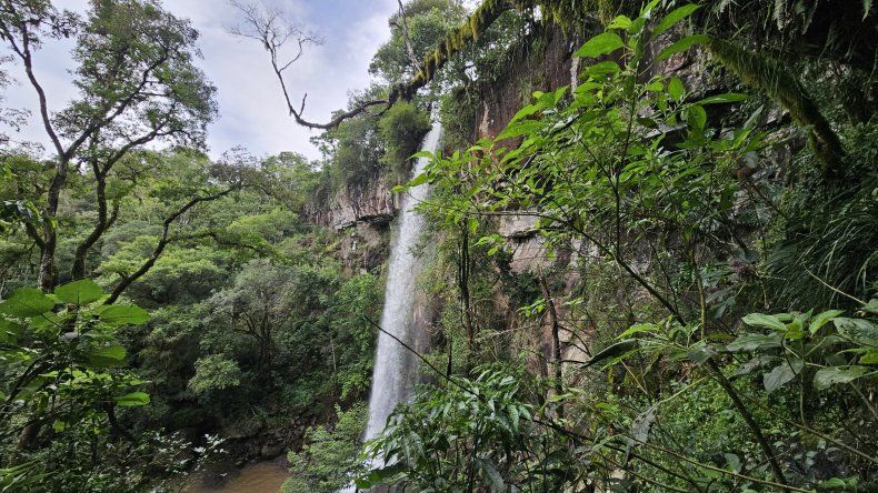 El Salto Rosa Mística: una cascada agreste y sin intervenciones turísticas que permanece fuera del radar de la mayoría.