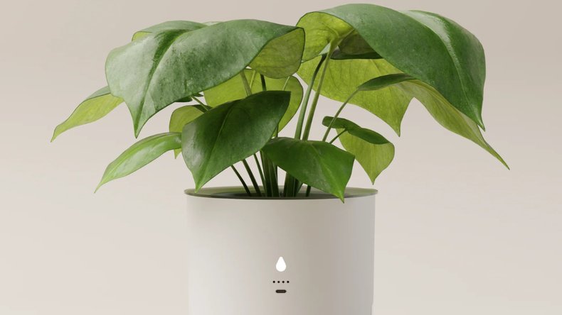 Esta maceta puede mantener hidratadas las plantas por hasta cuatro semanas.