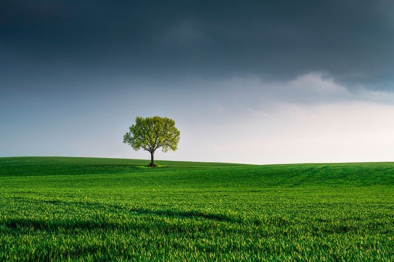 El Gobierno avanza en la implementación de la ley de educación ambiental