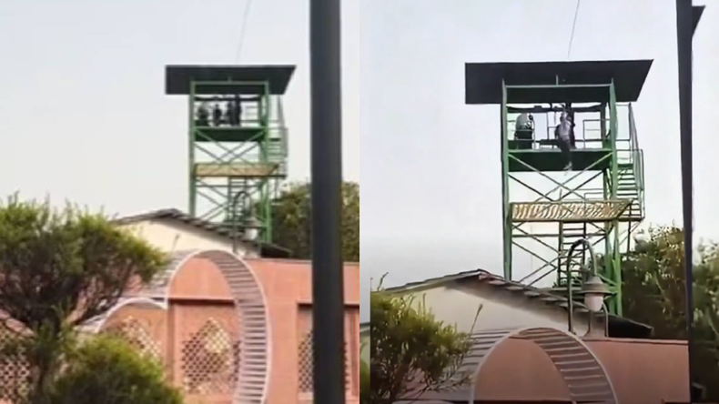 El joven cayó desde una altura de 14 metros y murió casi en el acto.&nbsp;