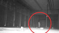 La imagen se volvió viral. La imagen se volvió viral.