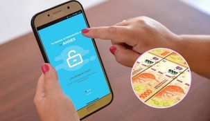 Anses explicó cuáles son los requisitos para acceder a la Ayuda Escolar Anual 2026. Anses explicó cuáles son los requisitos para acceder a la Ayuda Escolar Anual 2026.