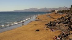 Cuando las turistas arribaban eran captadas y sometidas. Cuando las turistas arribaban eran captadas y sometidas.