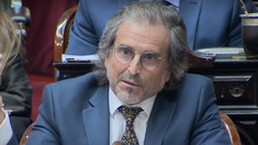 La libertad también es que si no querés mandar a tu hijo al colegio porque lo necesitás en el taller, puedas hacerlo”, las polémicas declaraciones de Benegas Lynch