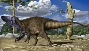 Rinconraptor pipoae.&nbsp;