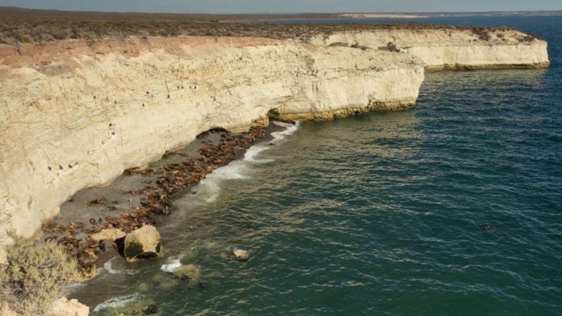 Punta Loma es la reserva de fauna más antigua de Chubut. 