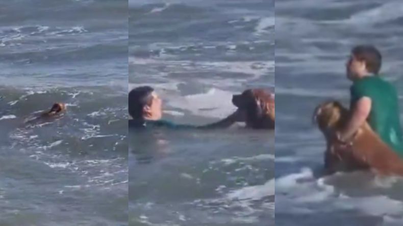 El perro fue rescatado de la corriente por un vecino que se metió al mar vestido.