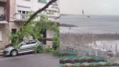 Destrozos en Mar del Plata tras un potente vendaval. Destrozos en Mar del Plata tras un potente vendaval.