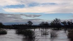 Temporal en Buenos Aires: encontraron el cuerpo de otra víctima del temporal y ya son dos los fallecidos Temporal en Buenos Aires: encontraron el cuerpo de otra víctima del temporal y ya son dos los fallecidos