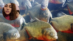 La niña de 9 años fue gravemente herida en los pies. La niña de 9 años fue gravemente herida en los pies.