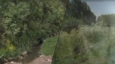 Las tierras malditas de Matías Alé y su familia: ¿magia negra y macumbas? Las tierras malditas de Matías Alé y su familia: ¿magia negra y macumbas?