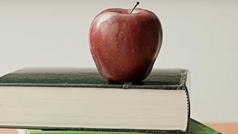 Día del Maestro 2026: el 11 de septiembre será una jornada especial para la comunidad educativa
