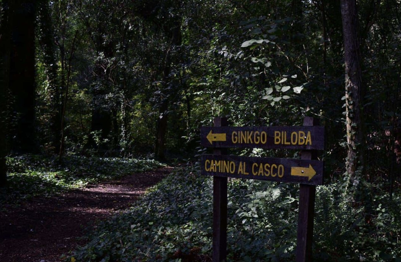 Este destino incluye actividades, gastronomía y descanso. Conocé más sobre este lugar cerca de la Ciudad de Buenos Aires donde viajar durante el finde largo.