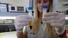 Ciencia, datos y soberanía: el Programa PoblAr inicia el muestreo en Santa Cruz Ciencia, datos y soberanía: el Programa PoblAr inicia el muestreo en Santa Cruz